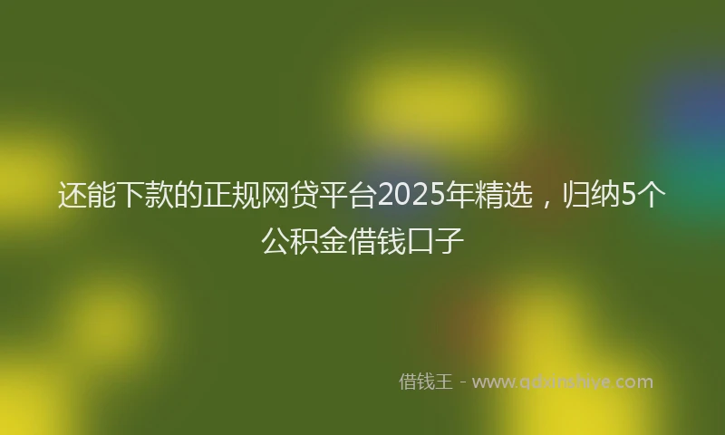 还能下款的正规网贷平台2025年精选，归纳5个公积金借钱口子