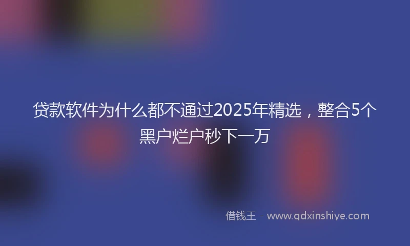 贷款软件为什么都不通过2025年精选，整合5个黑户烂户秒下一万