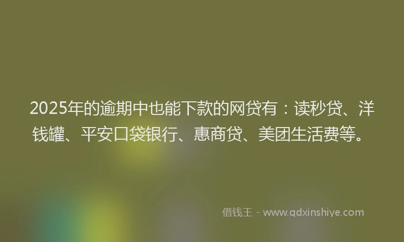 2025年的逾期中也能下款的网贷有：读秒贷、洋钱罐、平安口袋银行、惠商贷、美团生活费等。