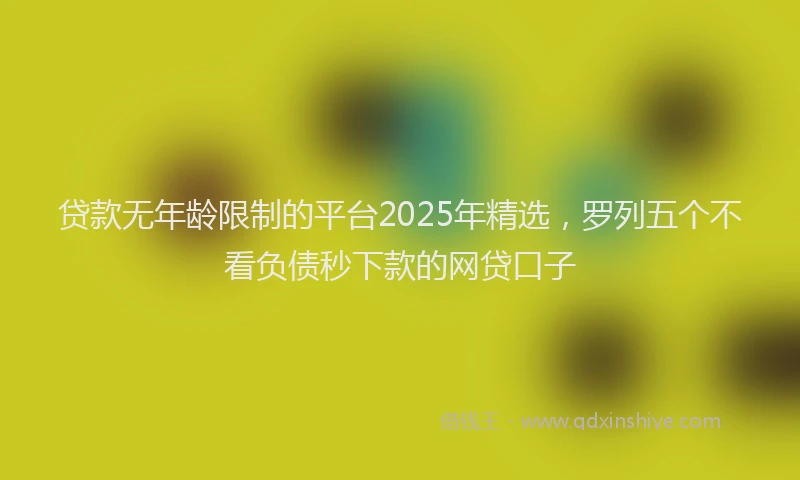 贷款无年龄限制的平台2025年精选，罗列五个不看负债秒下款的网贷口子