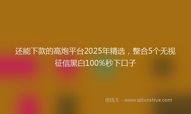还能下款的高炮平台2025年精选，整合5个无视征信黑白100%秒下口子