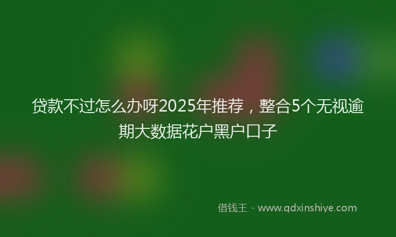 贷款不过怎么办呀2025年推荐，整合5个无视逾期大数据花户黑户口子
