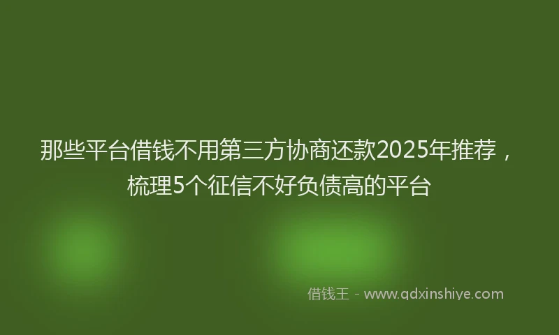 那些平台借钱不用第三方协商还款2025年推荐，梳理5个征信不好负债高的平台