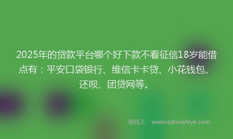 2025年的贷款平台哪个好下款不看征信18岁能借点有：平安口袋银行、维信卡卡贷、小花钱包、还呗、团贷网等。