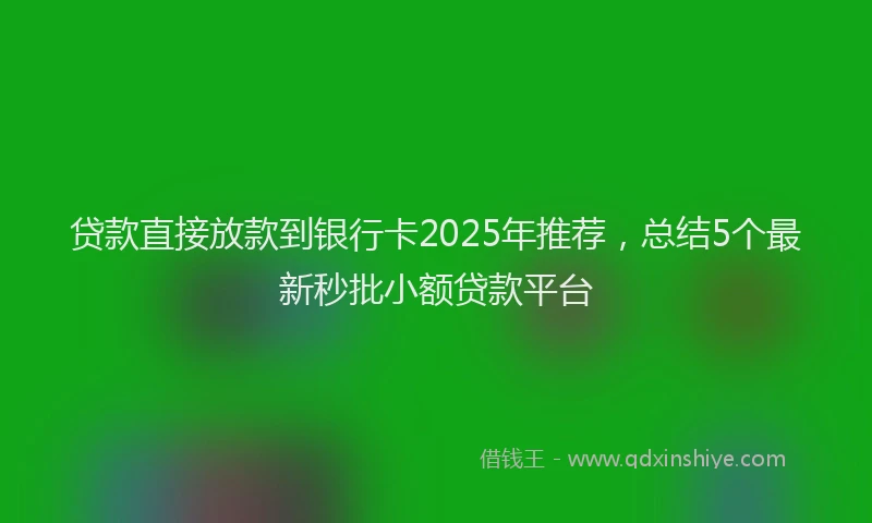 贷款直接放款到银行卡2025年推荐，总结5个最新秒批小额贷款平台