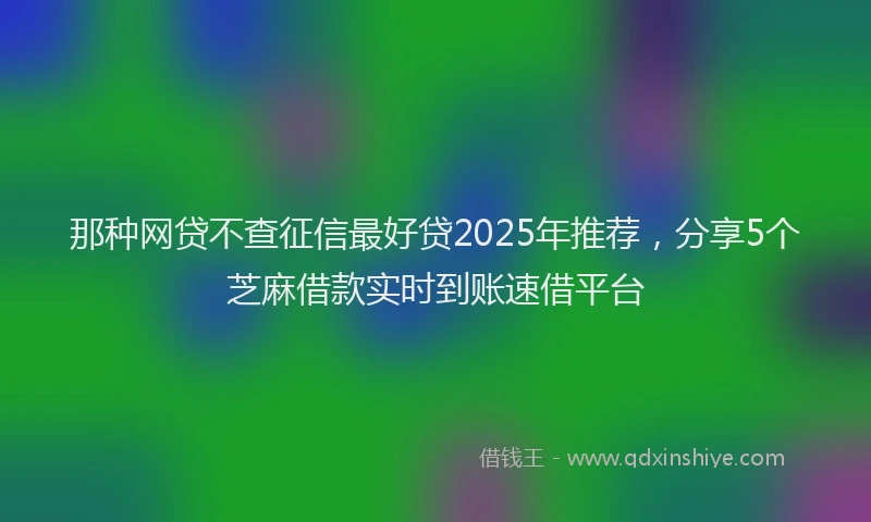 那种网贷不查征信最好贷2025年推荐，分享5个芝麻借款实时到账速借平台