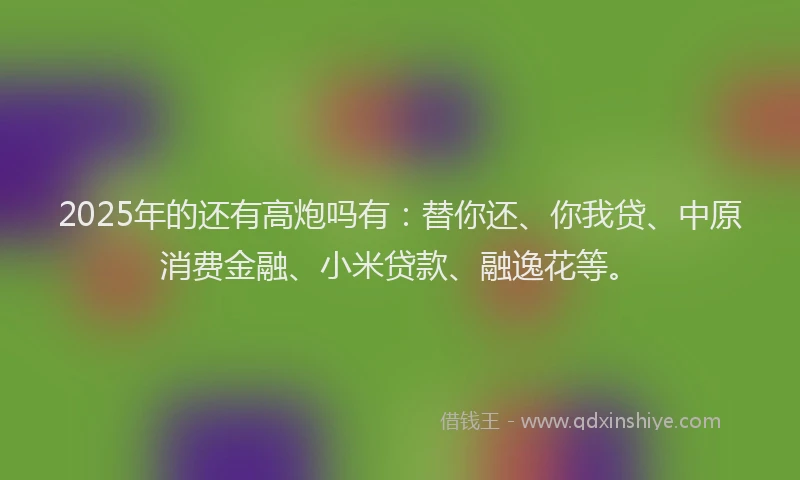 2025年的还有高炮吗有：替你还、你我贷、中原消费金融、小米贷款、融逸花等。