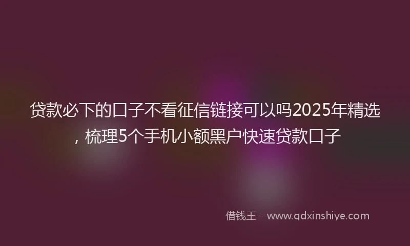 贷款必下的口子不看征信链接可以吗2025年精选，梳理5个手机小额黑户快速贷款口子