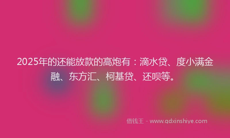 2025年的还能放款的高炮有：滴水贷、度小满金融、东方汇、柯基贷、还呗等。