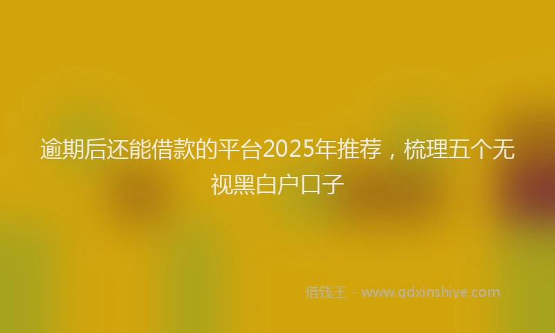 逾期后还能借款的平台2025年推荐，梳理五个无视黑白户口子
