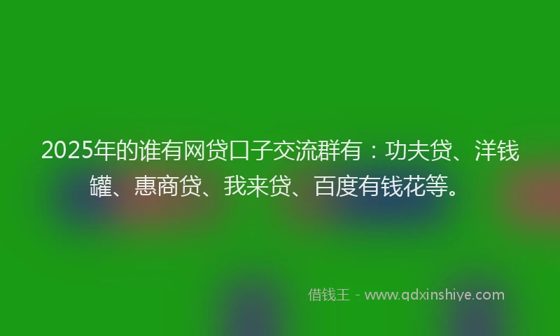 2025年的谁有网贷口子交流群有：功夫贷、洋钱罐、惠商贷、我来贷、百度有钱花等。