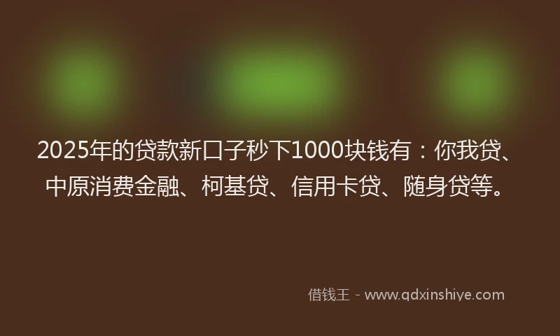 2025年的贷款新口子秒下1000块钱有：你我贷、中原消费金融、柯基贷、信用卡贷、随身贷等。