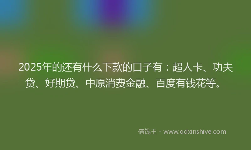 2025年的还有什么下款的口子有：超人卡、功夫贷、好期贷、中原消费金融、百度有钱花等。