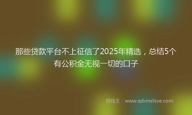 那些贷款平台不上征信了2025年精选，总结5个有公积金无视一切的口子