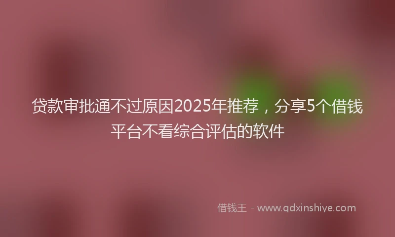 贷款审批通不过原因2025年推荐，分享5个借钱平台不看综合评估的软件