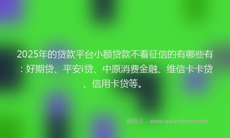 2025年的贷款平台小额贷款不看征信的有哪些有：好期贷、平安i贷、中原消费金融、维信卡卡贷、信用卡贷等。
