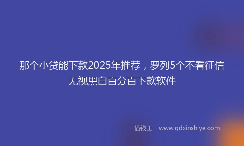 那个小贷能下款2025年推荐，罗列5个不看征信无视黑白百分百下款软件