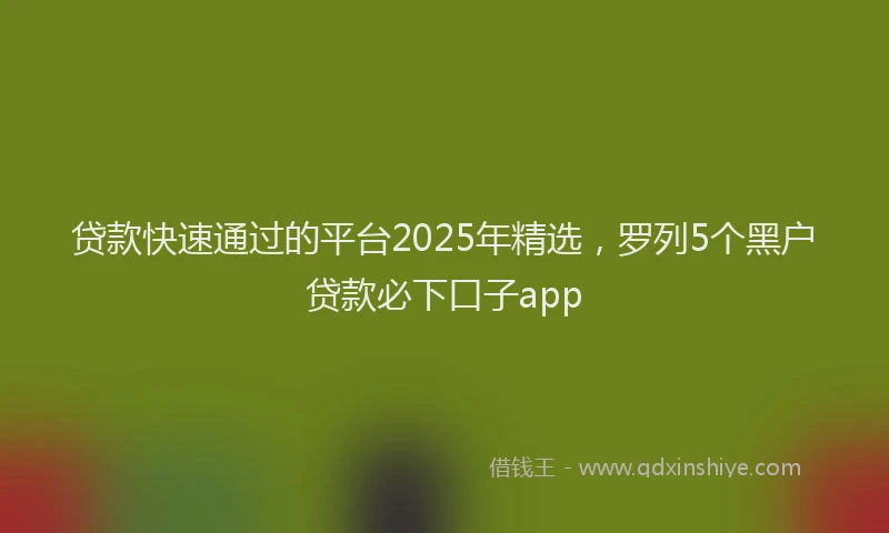 贷款快速通过的平台2025年精选，罗列5个黑户贷款必下口子app