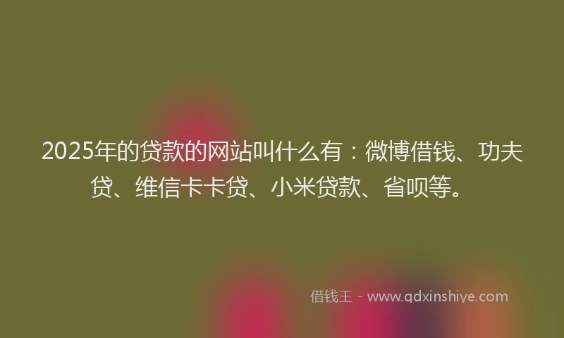 2025年的贷款的网站叫什么有：微博借钱、功夫贷、维信卡卡贷、小米贷款、省呗等。