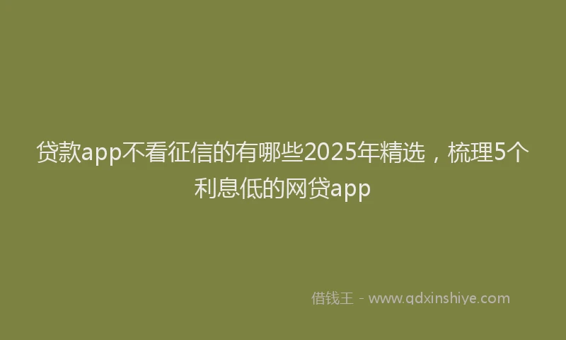 贷款app不看征信的有哪些2025年精选，梳理5个利息低的网贷app