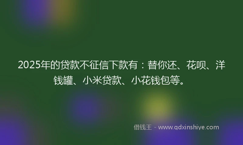 2025年的贷款不征信下款有：替你还、花呗、洋钱罐、小米贷款、小花钱包等。