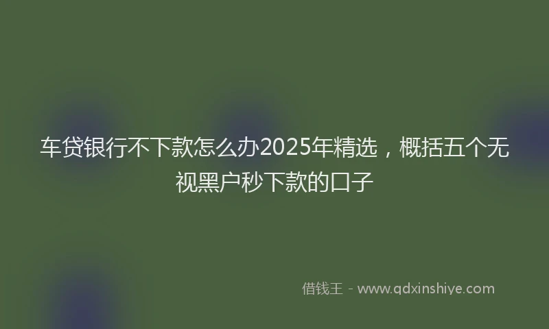 车贷银行不下款怎么办2025年精选，概括五个无视黑户秒下款的口子