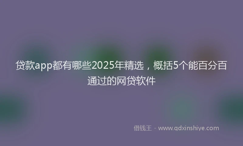 贷款app都有哪些2025年精选，概括5个能百分百通过的网贷软件