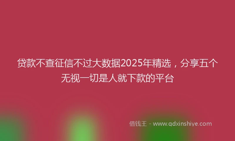 贷款不查征信不过大数据2025年精选，分享五个无视一切是人就下款的平台