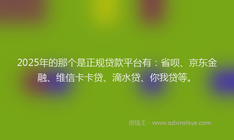 2025年的那个是正规贷款平台有：省呗、京东金融、维信卡卡贷、滴水贷、你我贷等。