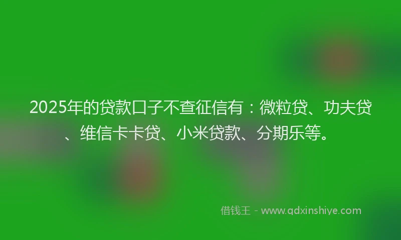 2025年的贷款口子不查征信有：微粒贷、功夫贷、维信卡卡贷、小米贷款、分期乐等。