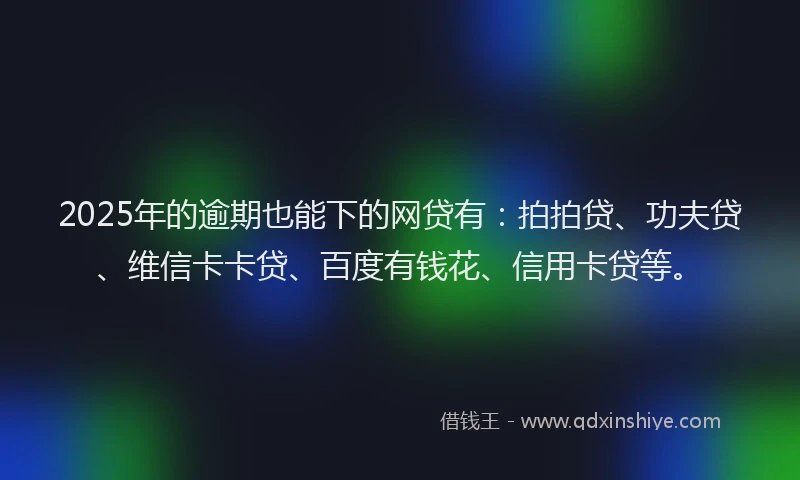 2025年的逾期也能下的网贷有：拍拍贷、功夫贷、维信卡卡贷、百度有钱花、信用卡贷等。