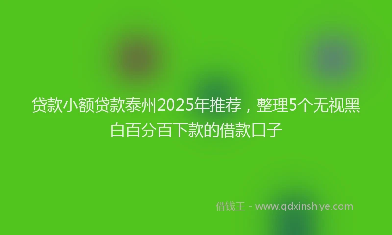贷款小额贷款泰州2025年推荐，整理5个无视黑白百分百下款的借款口子