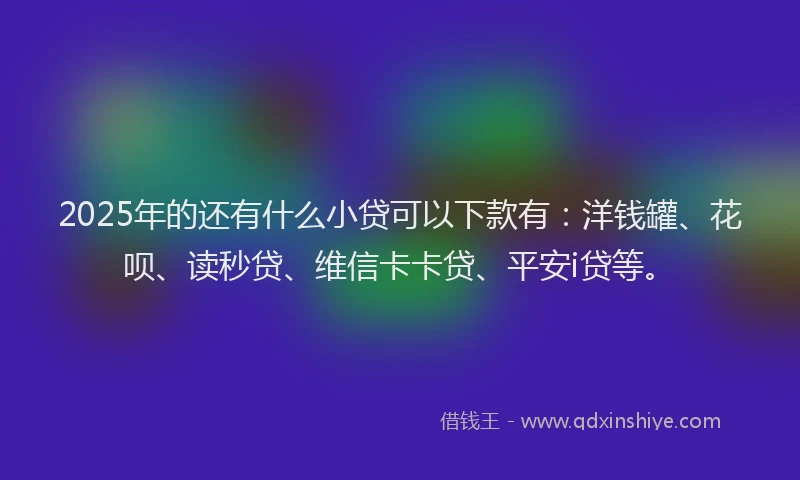 2025年的还有什么小贷可以下款有：洋钱罐、花呗、读秒贷、维信卡卡贷、平安i贷等。