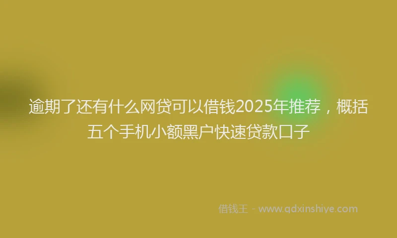 逾期了还有什么网贷可以借钱2025年推荐，概括五个手机小额黑户快速贷款口子