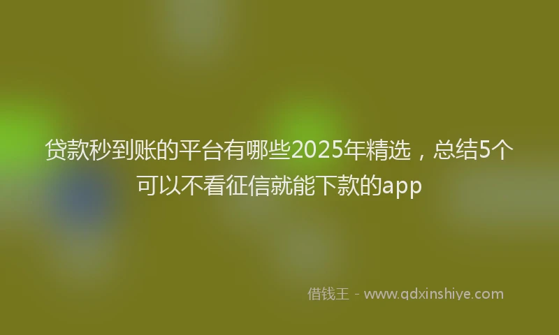 贷款秒到账的平台有哪些2025年精选，总结5个可以不看征信就能下款的app