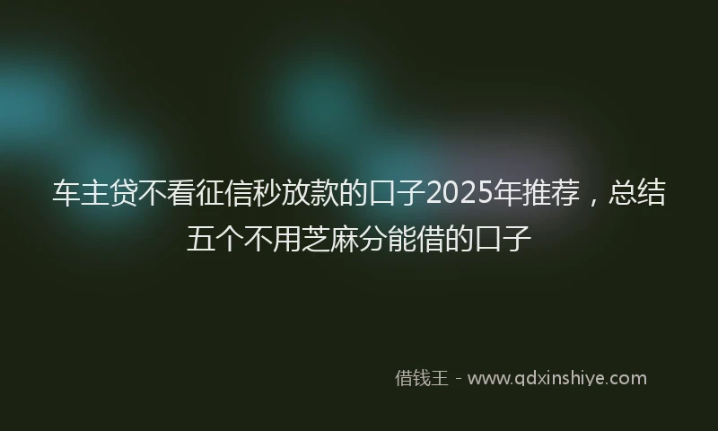 车主贷不看征信秒放款的口子2025年推荐，总结五个不用芝麻分能借的口子