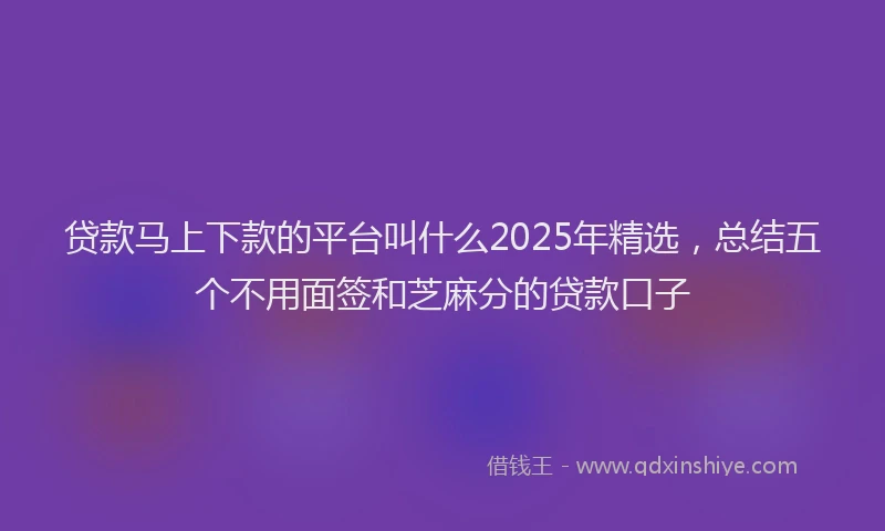 贷款马上下款的平台叫什么2025年精选，总结五个不用面签和芝麻分的贷款口子