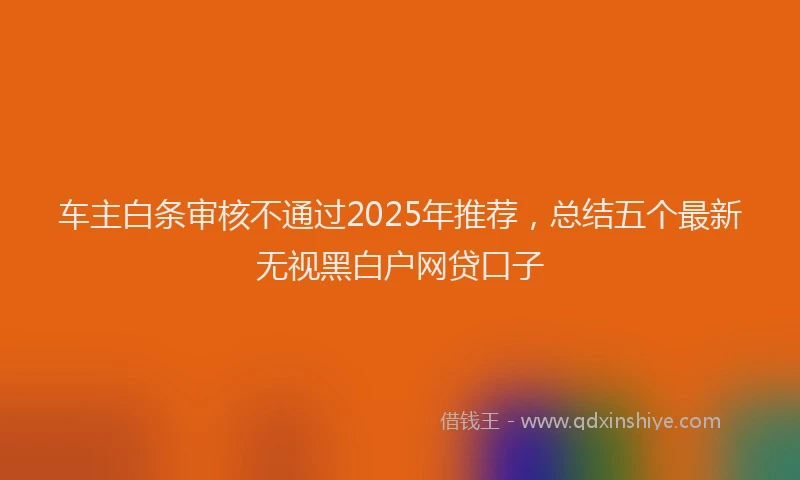 车主白条审核不通过2025年推荐，总结五个最新无视黑白户网贷口子