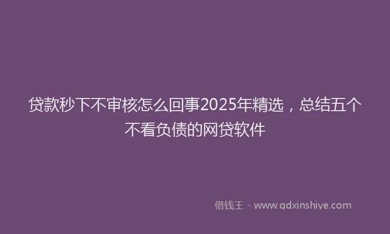 贷款秒下不审核怎么回事2025年精选，总结五个不看负债的网贷软件