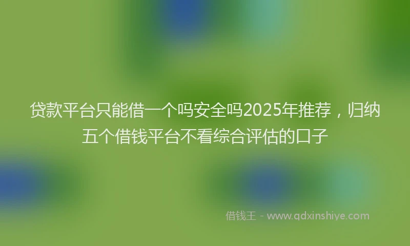 贷款平台只能借一个吗安全吗2025年推荐，归纳五个借钱平台不看综合评估的口子