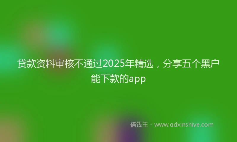 贷款资料审核不通过2025年精选，分享五个黑户能下款的app