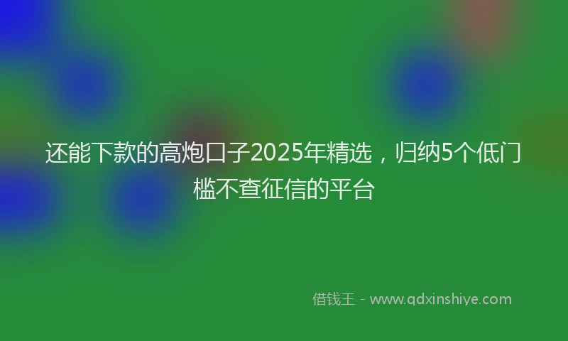 还能下款的高炮口子2025年精选，归纳5个低门槛不查征信的平台