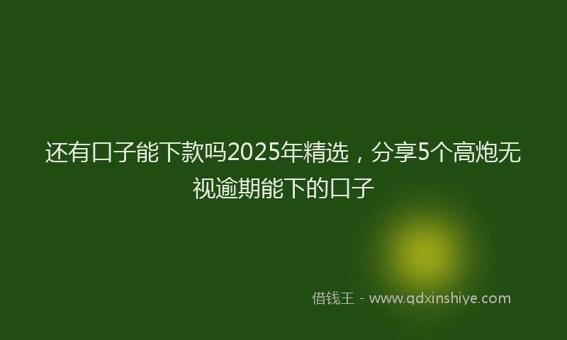 还有口子能下款吗2025年精选，分享5个高炮无视逾期能下的口子