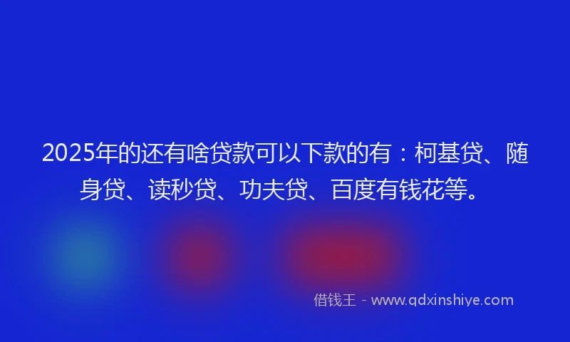 2025年的还有啥贷款可以下款的有：柯基贷、随身贷、读秒贷、功夫贷、百度有钱花等。