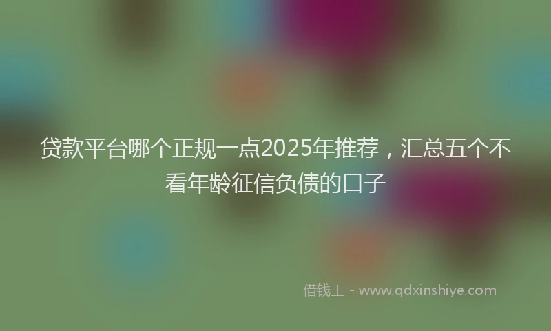 贷款平台哪个正规一点2025年推荐，汇总五个不看年龄征信负债的口子