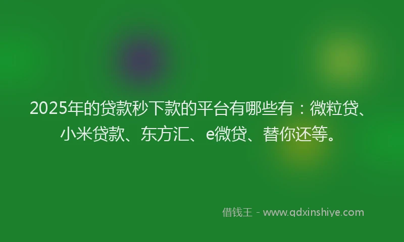 2025年的贷款秒下款的平台有哪些有：微粒贷、小米贷款、东方汇、e微贷、替你还等。