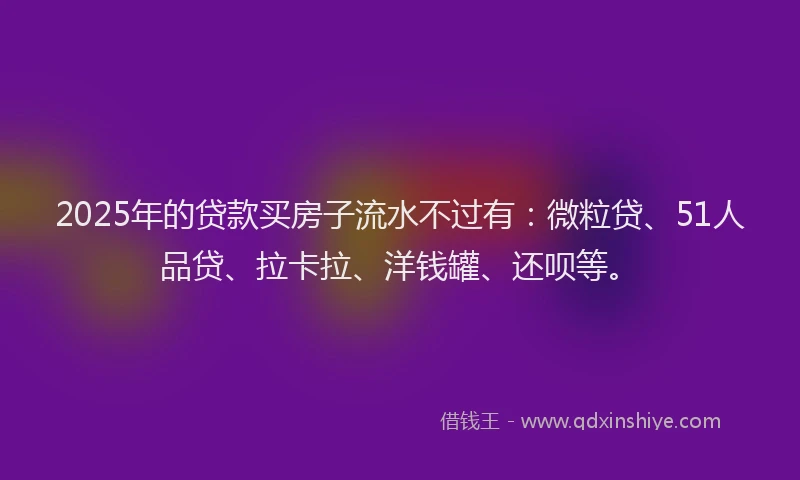 2025年的贷款买房子流水不过有：微粒贷、51人品贷、拉卡拉、洋钱罐、还呗等。