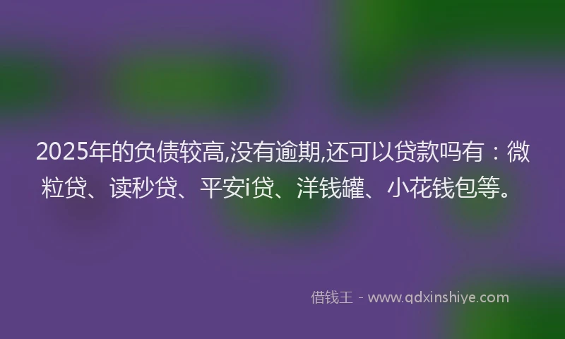 2025年的负债较高,没有逾期,还可以贷款吗有：微粒贷、读秒贷、平安i贷、洋钱罐、小花钱包等。
