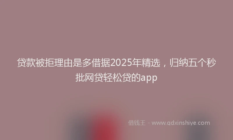 贷款被拒理由是多借据2025年精选，归纳五个秒批网贷轻松贷的app