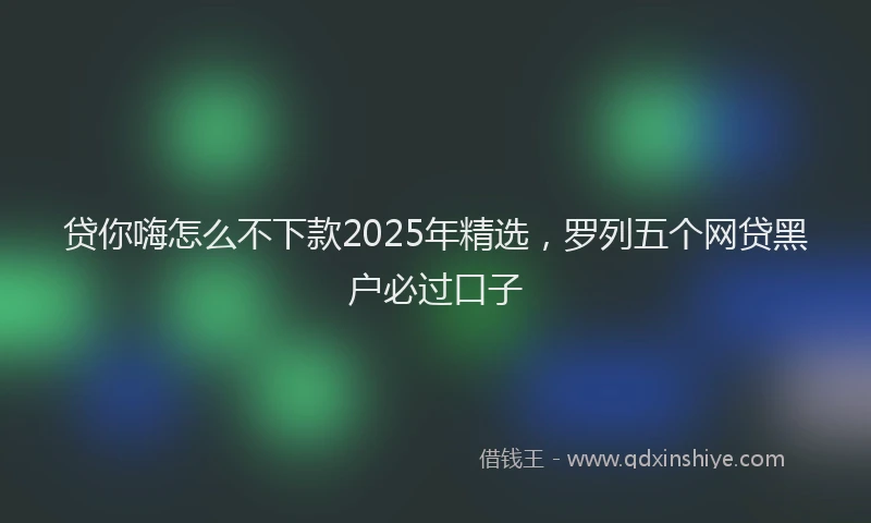 贷你嗨怎么不下款2025年精选，罗列五个网贷黑户必过口子
